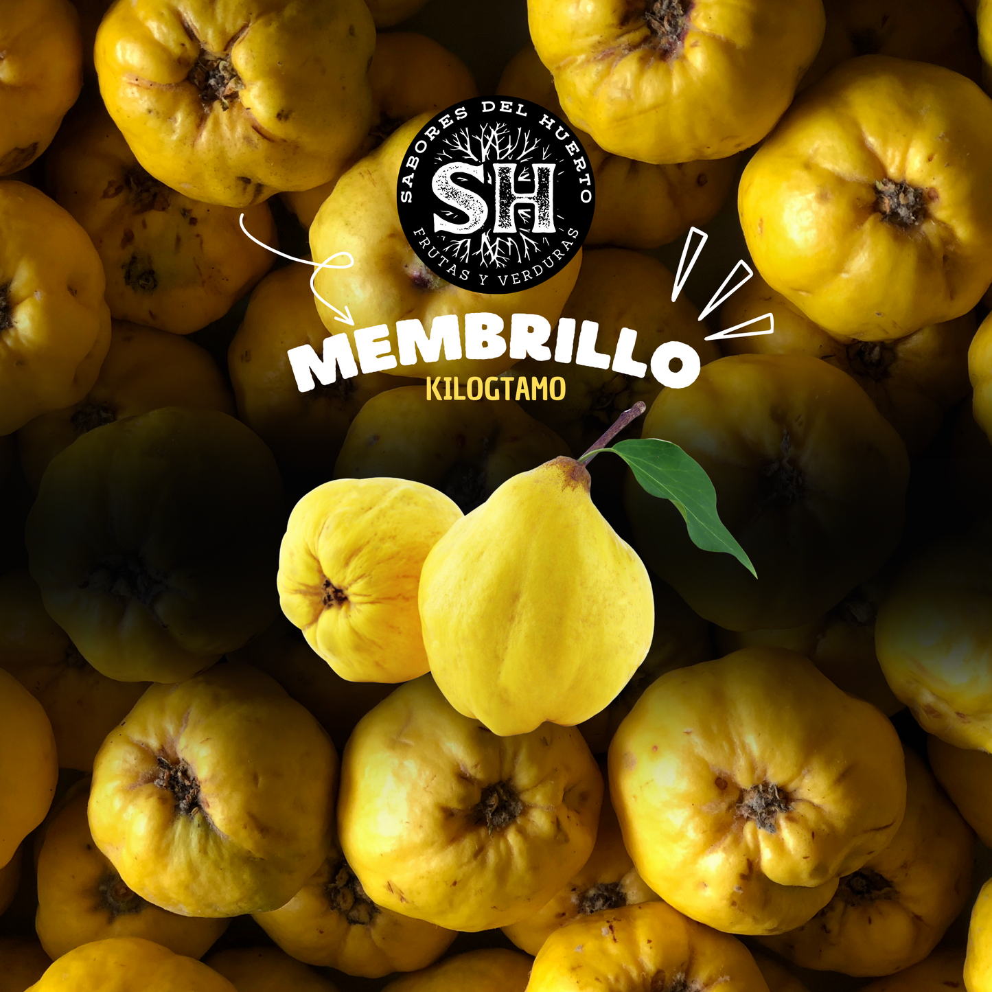 MEMBRILLO (kg)