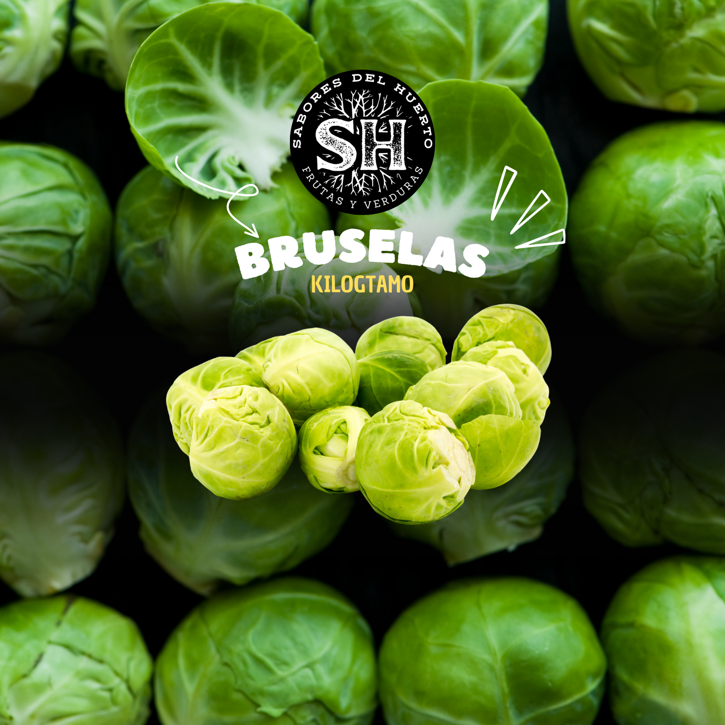 BRUSELAS (kg)