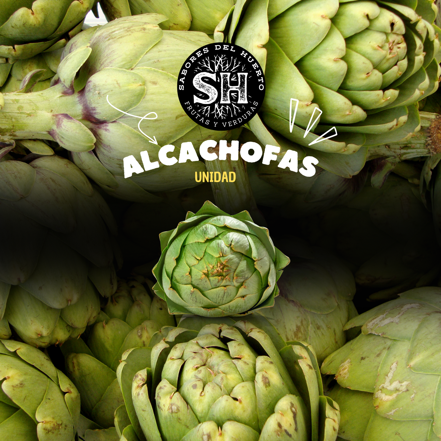 ALCACHOFAS