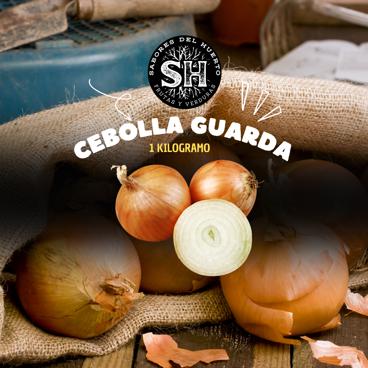 Cebolas de guarda con sabor suave y versatilidad en cada perparación