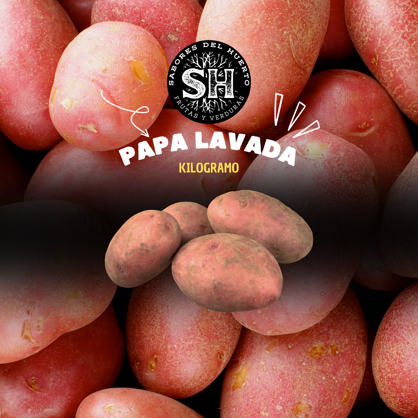 PAPA LAVADA (kg)
