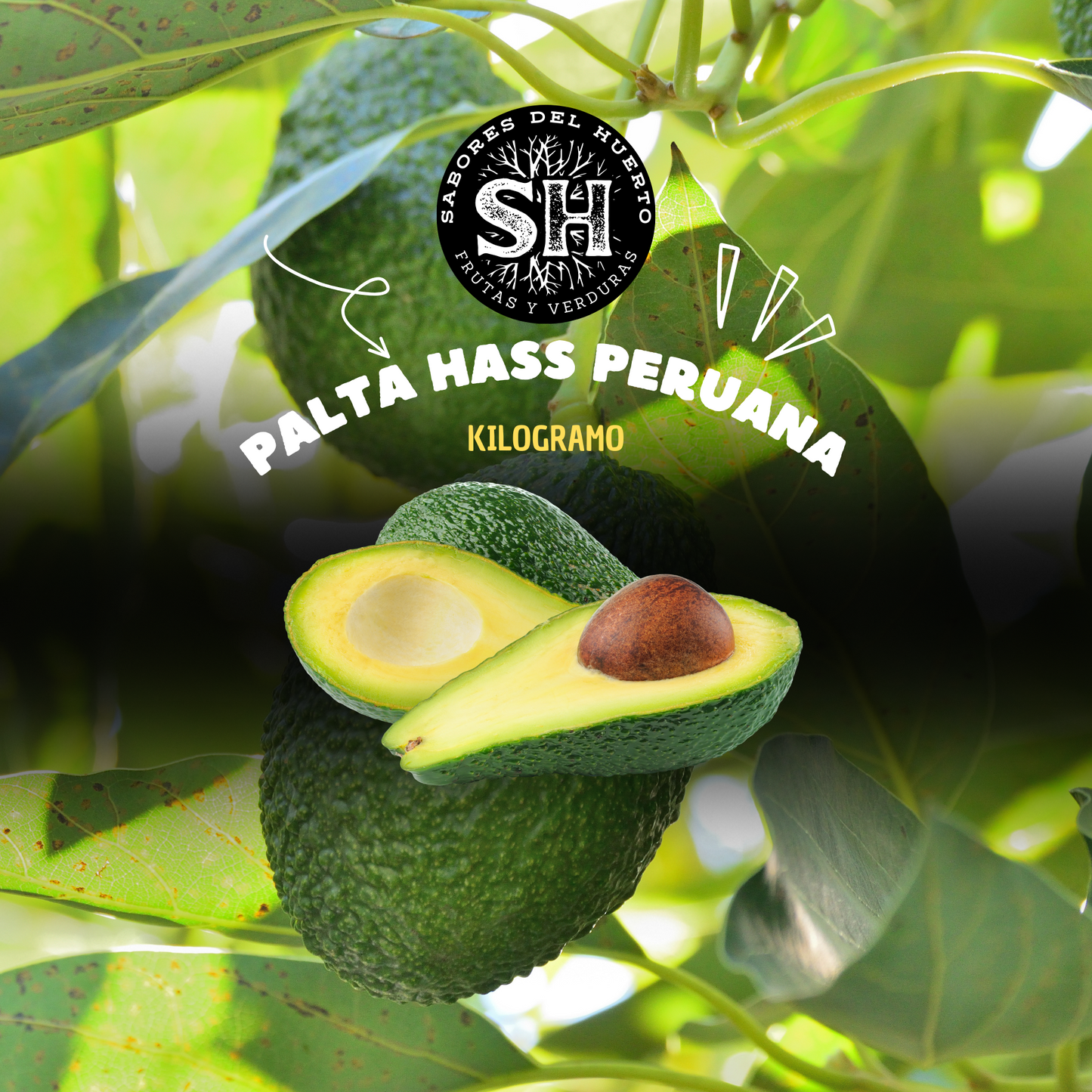 PALTA HASS PERUANA (kg)