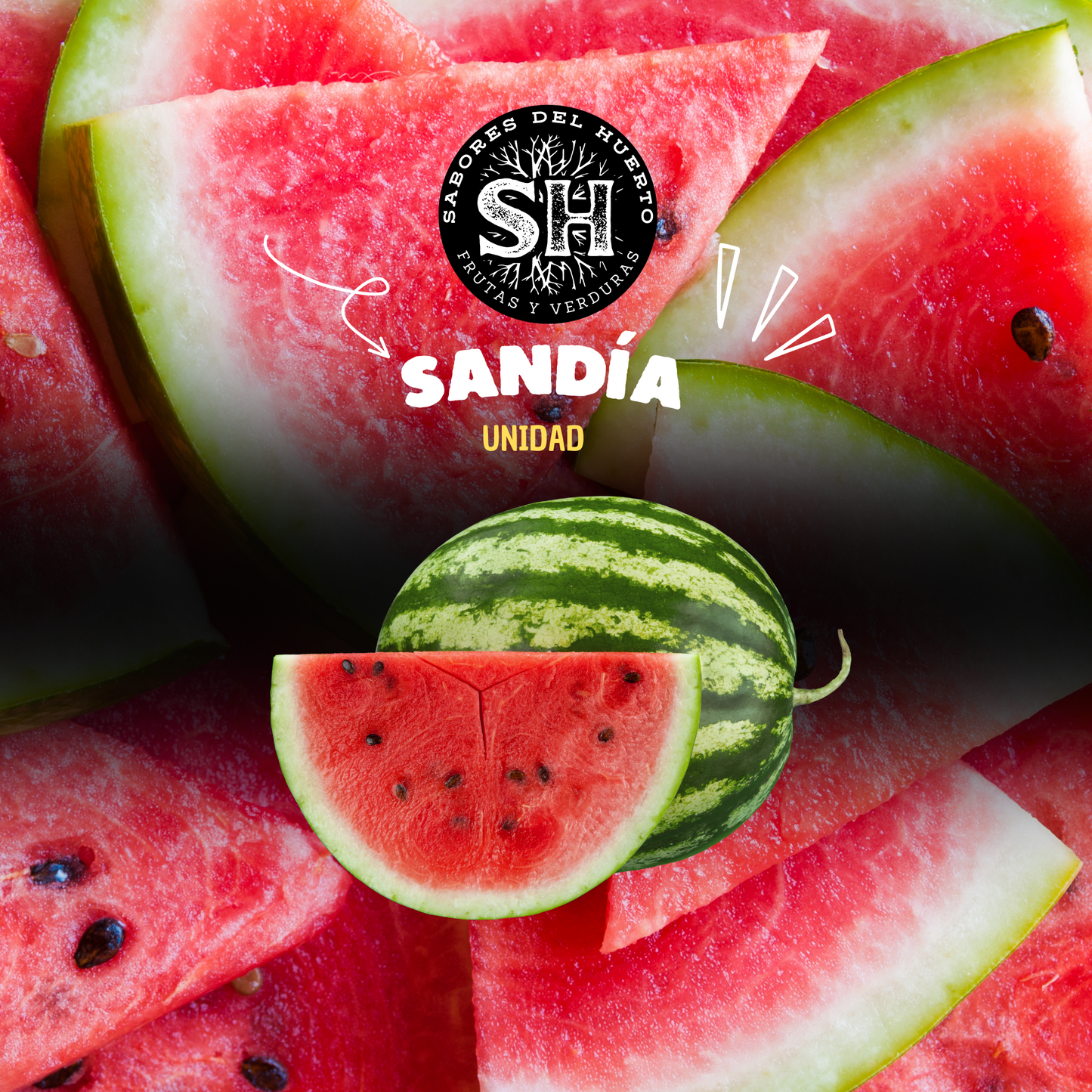 SANDÍA GRANDE CHILENA (unidad)