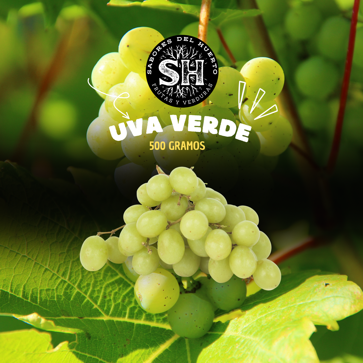 UVA VERDE POTE (500 gr)
