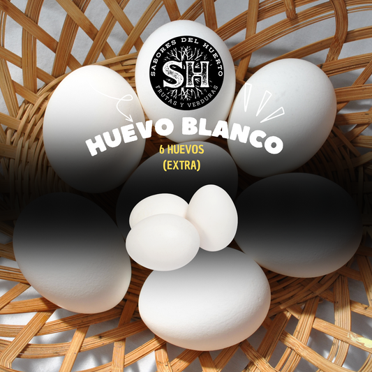 HUEVO BLANCO (Extra)