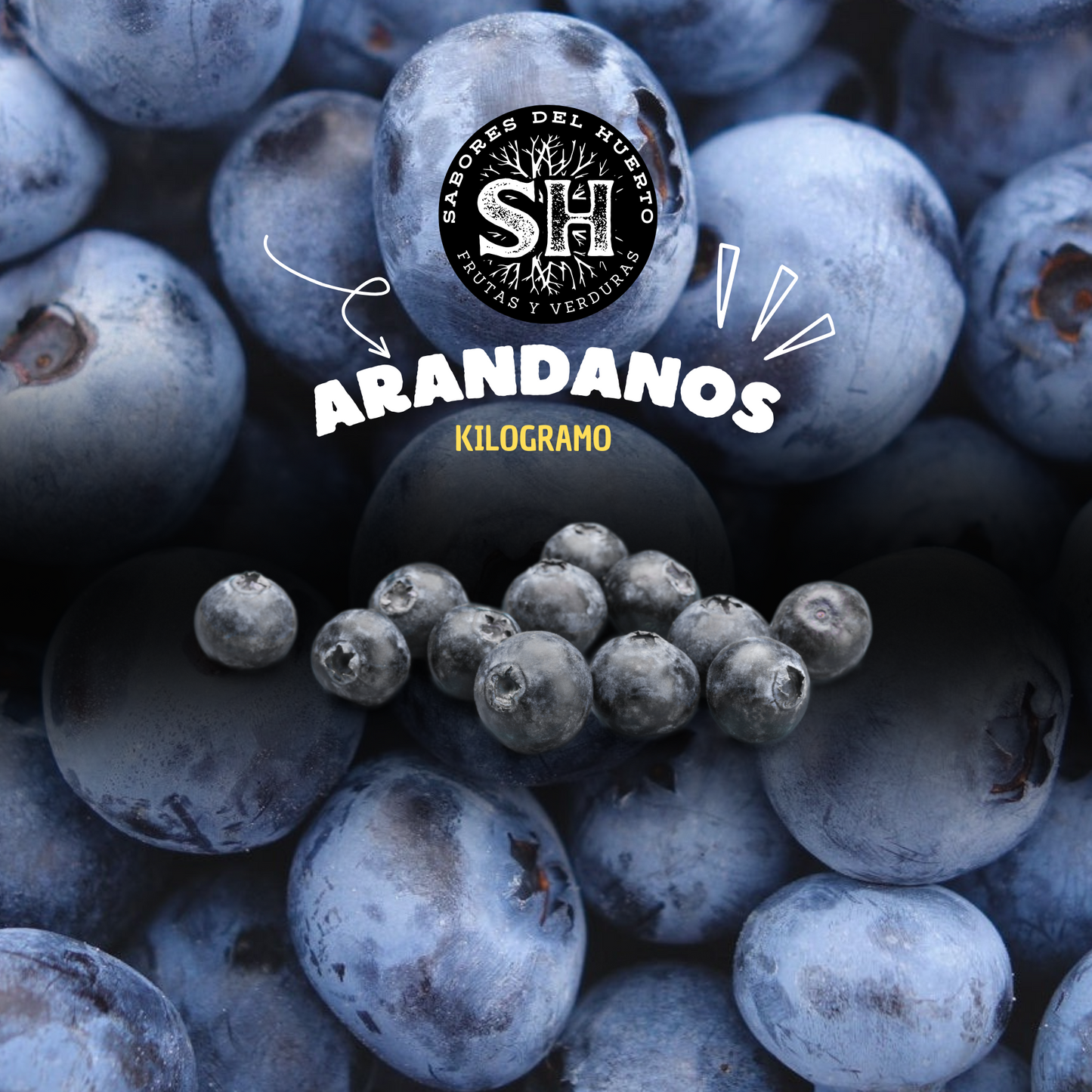 Arandanos ricos y saludables en formato de kilogramo