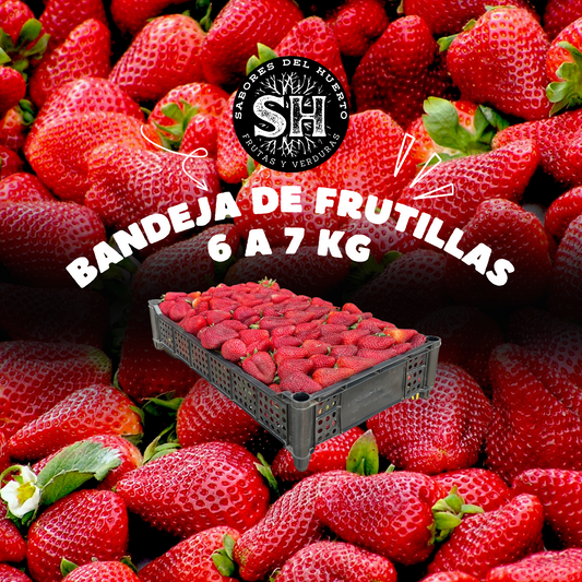 BANDEJA DE FRUTILLAS (6 - 7kg)