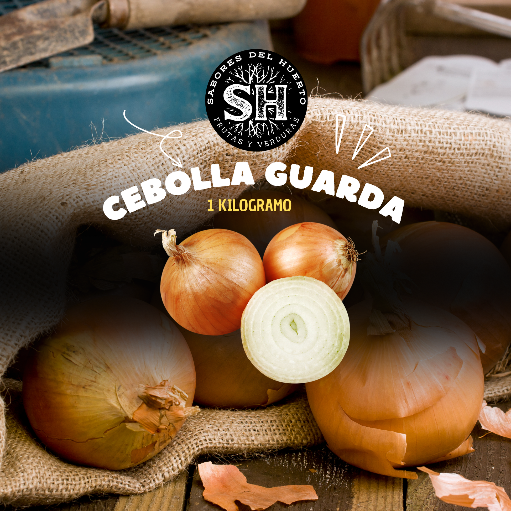 Cebolas de guarda  con sabor suave y versatilidad en cada perparación