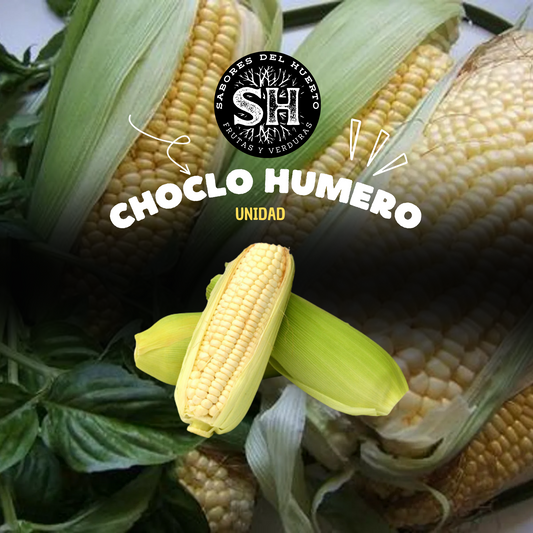 CHOCLO HUMERO (Unidad)