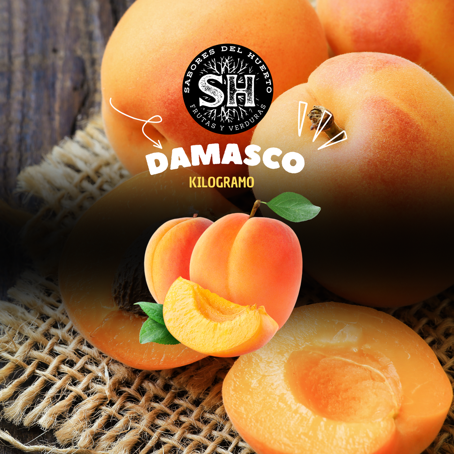 DAMASCO