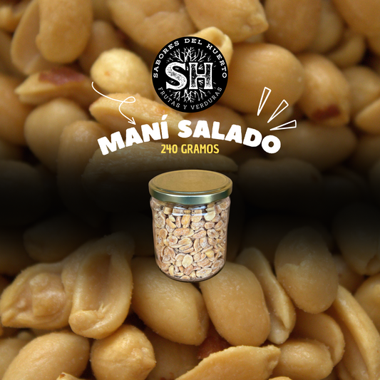 MANÍ CON SAL (240 gr)