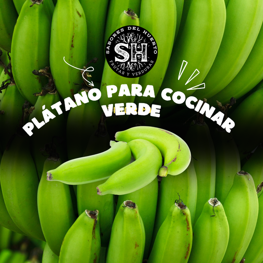 PLATANO BARRAGANETTE VERDE (kg)