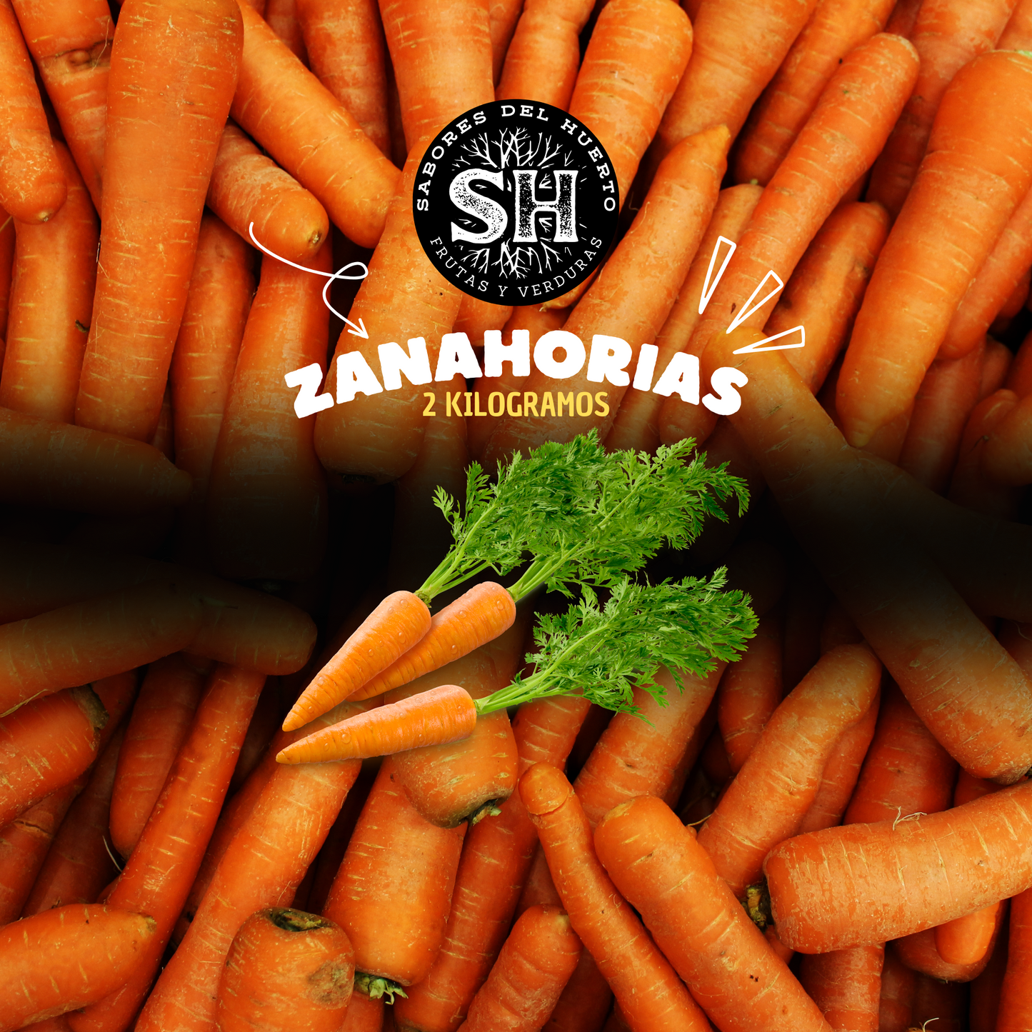 ZANAHORIA (2 kg) OFERTA