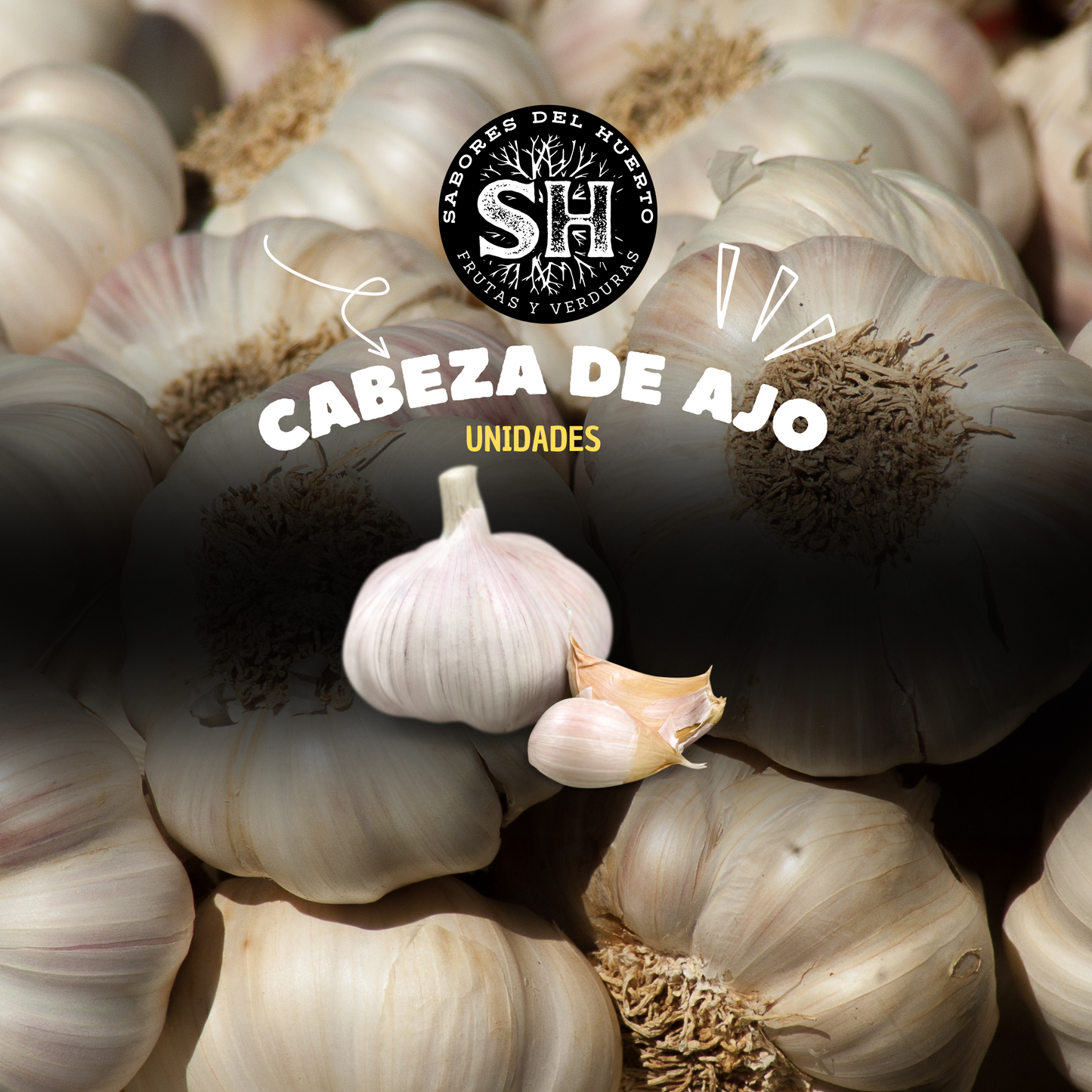 CABEZAS DE AJO