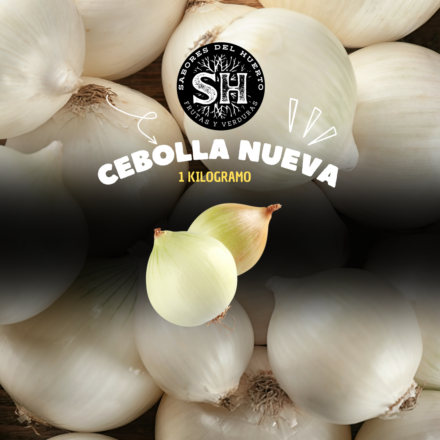 CEBOLLA NUEVA (kg)