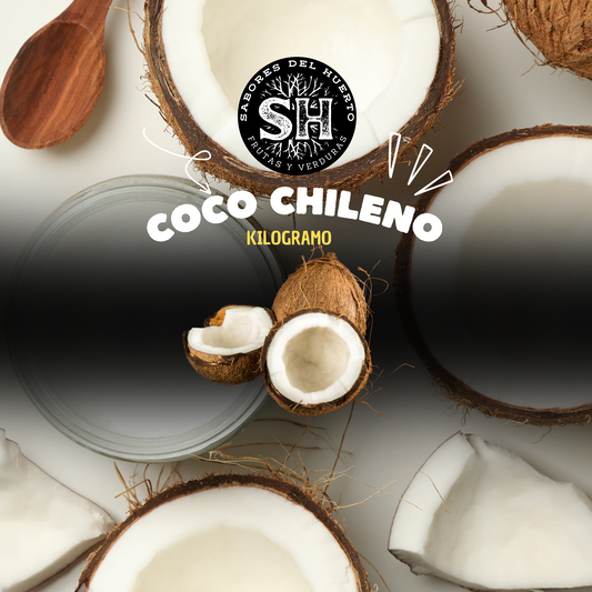 COCO CHILENO (kg)