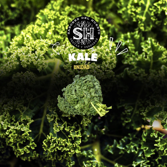 KALE (unidad)