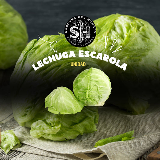 Lechuga Escarola