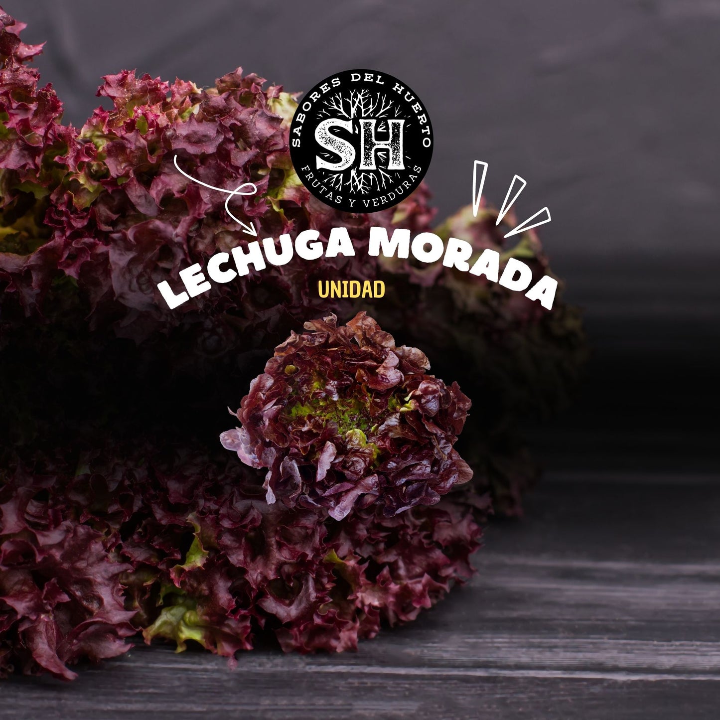 LECHUGA MORADA (unidad)