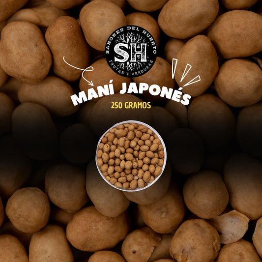 MANÍ JAPONES (250 gr)