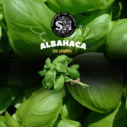 ALBAHACA (unidad)